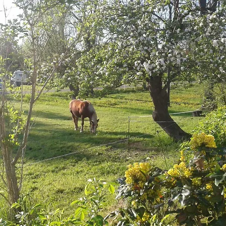 아파트 Lindenhof *