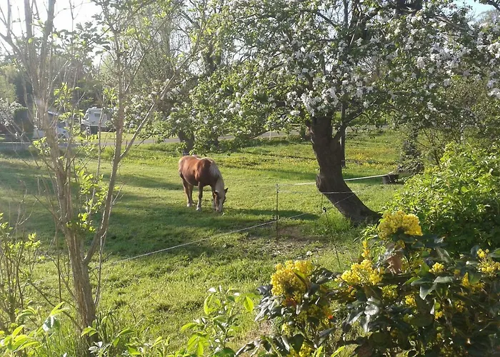 Apartment Lindenhof *